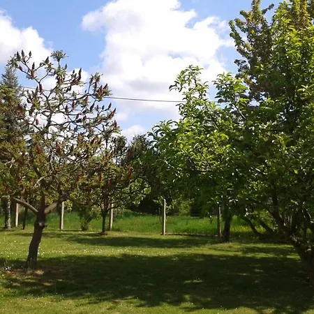 Piheno Apartman *
